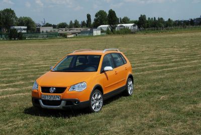 Cross Polo