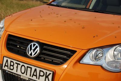 Cross Polo